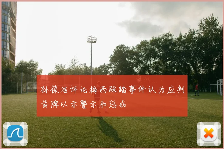 孙葆洁评论梅西踩踏事件认为应判黄牌以示警示和惩戒