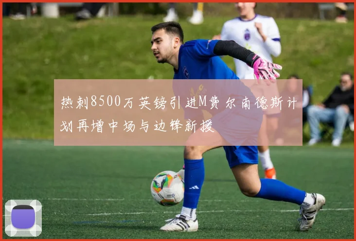 热刺8500万英镑引进M费尔南德斯计划再增中场与边锋新援